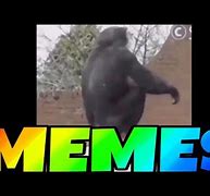 Image result for Monkey Flip Meme