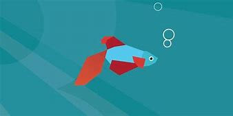 Image result for iPhone Fish Wallpaper for Desktop