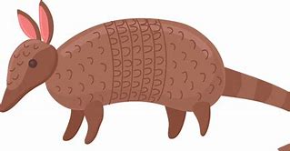 Image result for Animated Armadillo