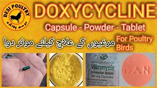 Image result for Doxycycline for Birds