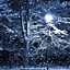 Image result for Winter Night iPhone Wallpaper