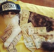 Image result for thugs life cats