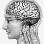 Image result for Human Brain Clip Art Practice