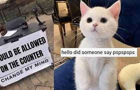 Image result for Funny Cat Eating Meme