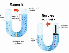 Image result for Why Does a Reverse Osmosis Water System Drain