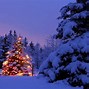 Image result for Christmas Background Landscape