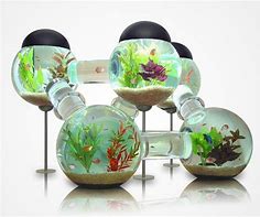 Image result for Unusual Fish Tanks Aquariums