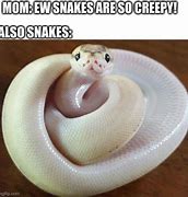 Image result for Snake Convention Meme