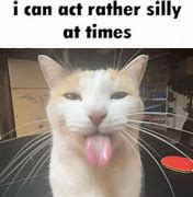 Image result for Slay Cat Meme