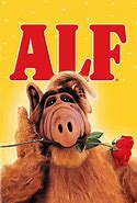 Image result for alf�ns8go