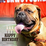 Image result for Cleveland Browns Birthday Meme