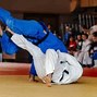 Image result for Judo Belts