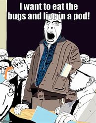 Image result for Eat the Bugs Live in the Pod