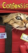 Image result for 100 Funny Cat