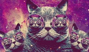 Image result for Psychedelic Cat Wallpaper