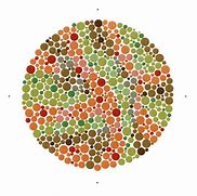Image result for Color Vision Chart