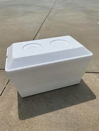 Image result for Mini Styrofoam Cooler