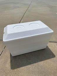 Image result for Styrofoam Cooler Boxes