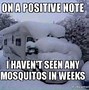 Image result for Snow Funny Animal Memes