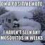 Image result for Positive Winter Memes