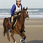 Image result for Horse Riding English Style