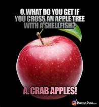 Image result for Happy Birthday Apple Jokes