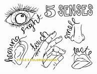 Image result for Coloring Senses