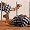 Image result for Camel Racing Dubai