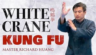 Image result for White Crane Boxing