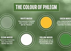 Image result for Different Phlegm Colors