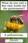 Image result for Clever Bee Puns