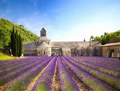 Image result for French Photos