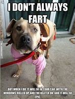 Image result for Funny Fart Pics