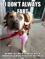 Image result for First Fart Meme