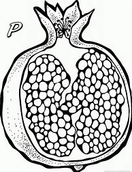 Image result for Pomegranate