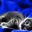 Image result for Cat Print Wallpaper Neon