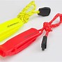 Image result for Whistle Protection