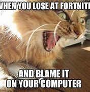 Image result for Angry Cat On Computer Meme