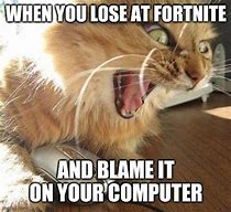 Image result for Angry Kitten Computer Meme