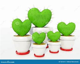 Image result for Heart Cactus