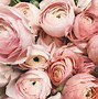 Image result for Rose Gold Aesthetic Images