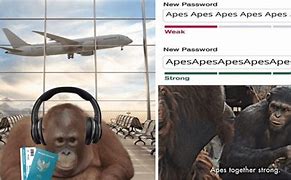 Image result for Ape Meme Moving Finger