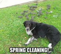 Image result for Little Spring Cleaning Meme