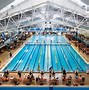 Image result for Swimming Brands