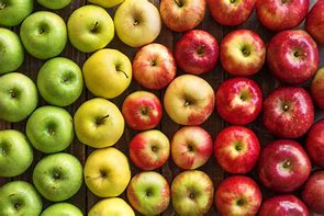 Image result for Best Image of Apple's