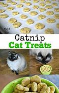 Image result for Catnip Cat Treats