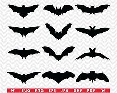 Image result for Bat Silhouette SVG