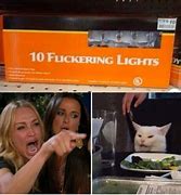 Image result for Cat Intensifies Meme