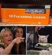 Image result for Seriously Cat Meme