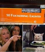 Image result for Woman Screaming at Cat Meme Template